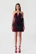 Burnout Velvet Mini Dress