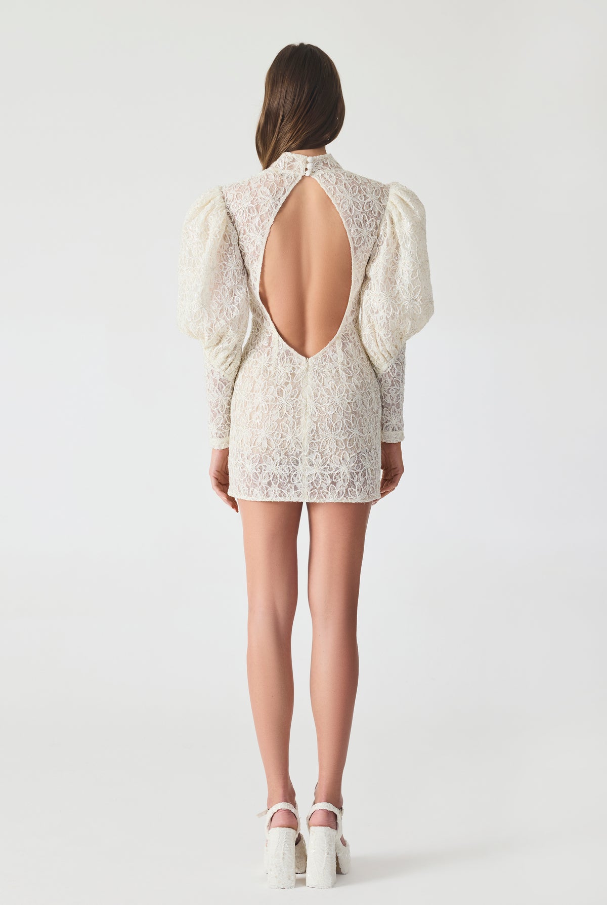 French Lace Cut Out Detailed Mini Dress