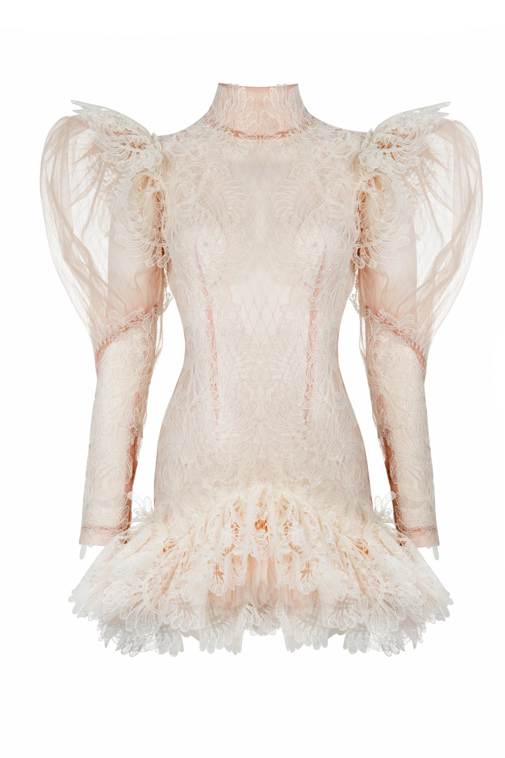 Lace Appliqué Mini Dress with Sheer Puffy Sleeves