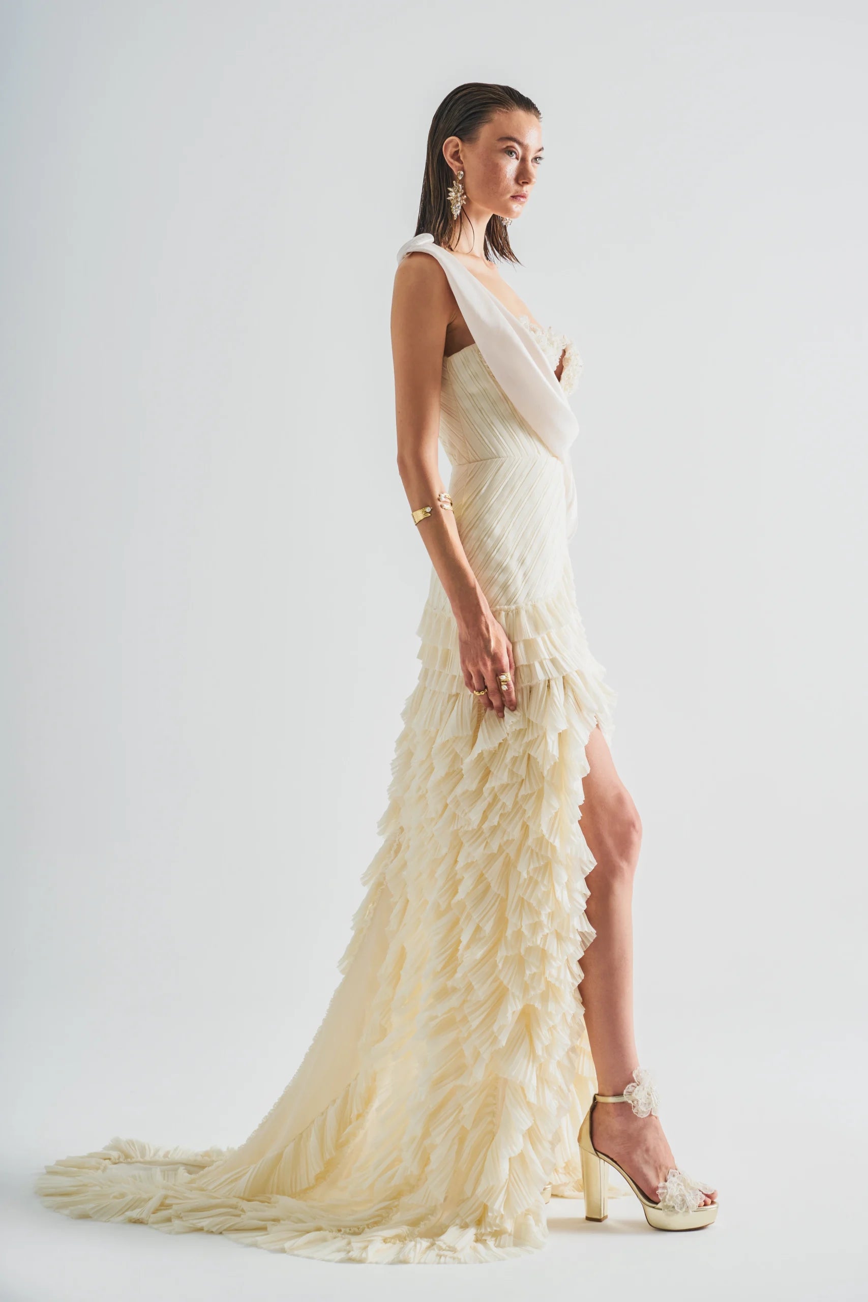 Pleated Ruffle long Dress With Embroidery Detail