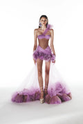 Sheer Corset Mini Dress with structured corset bodice.