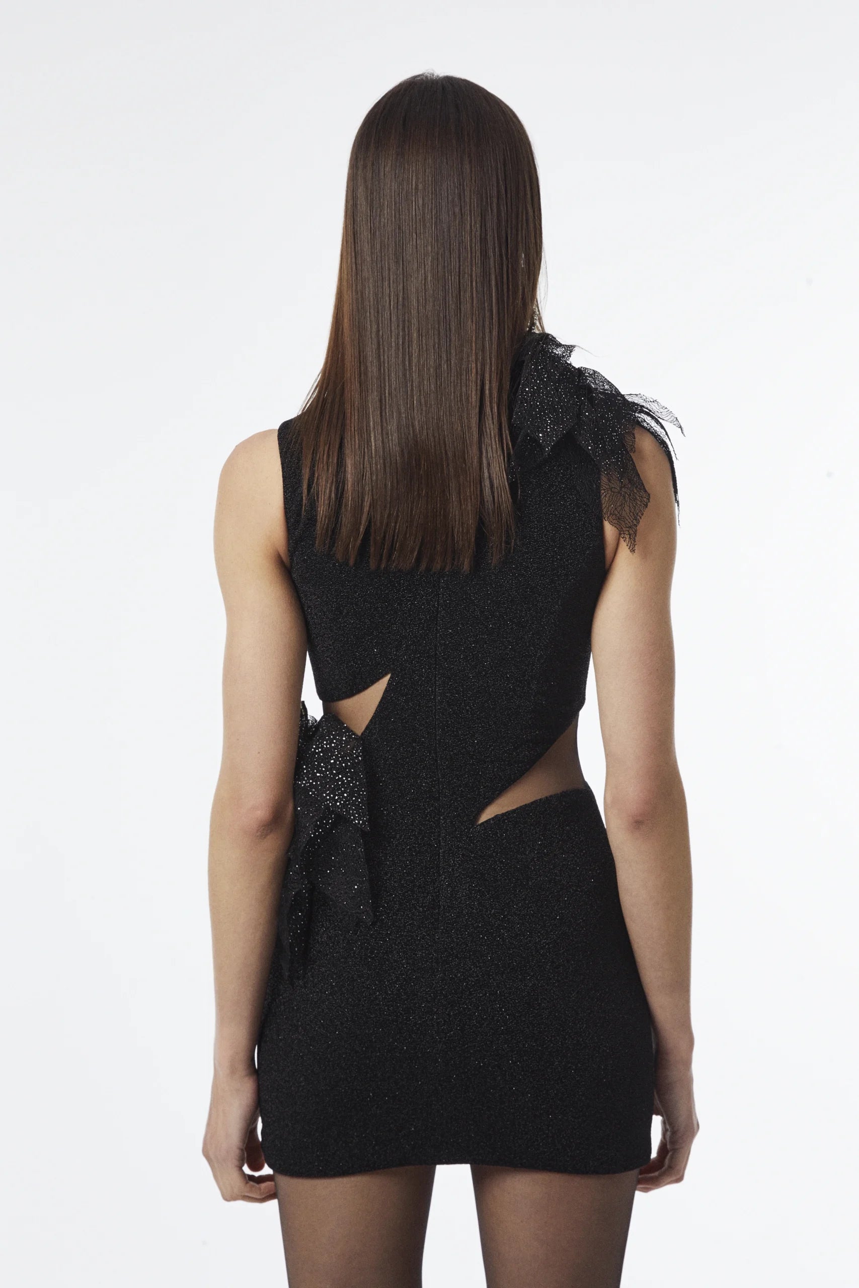 Sheer embroidered mini dress with delicate ruffle detailing.