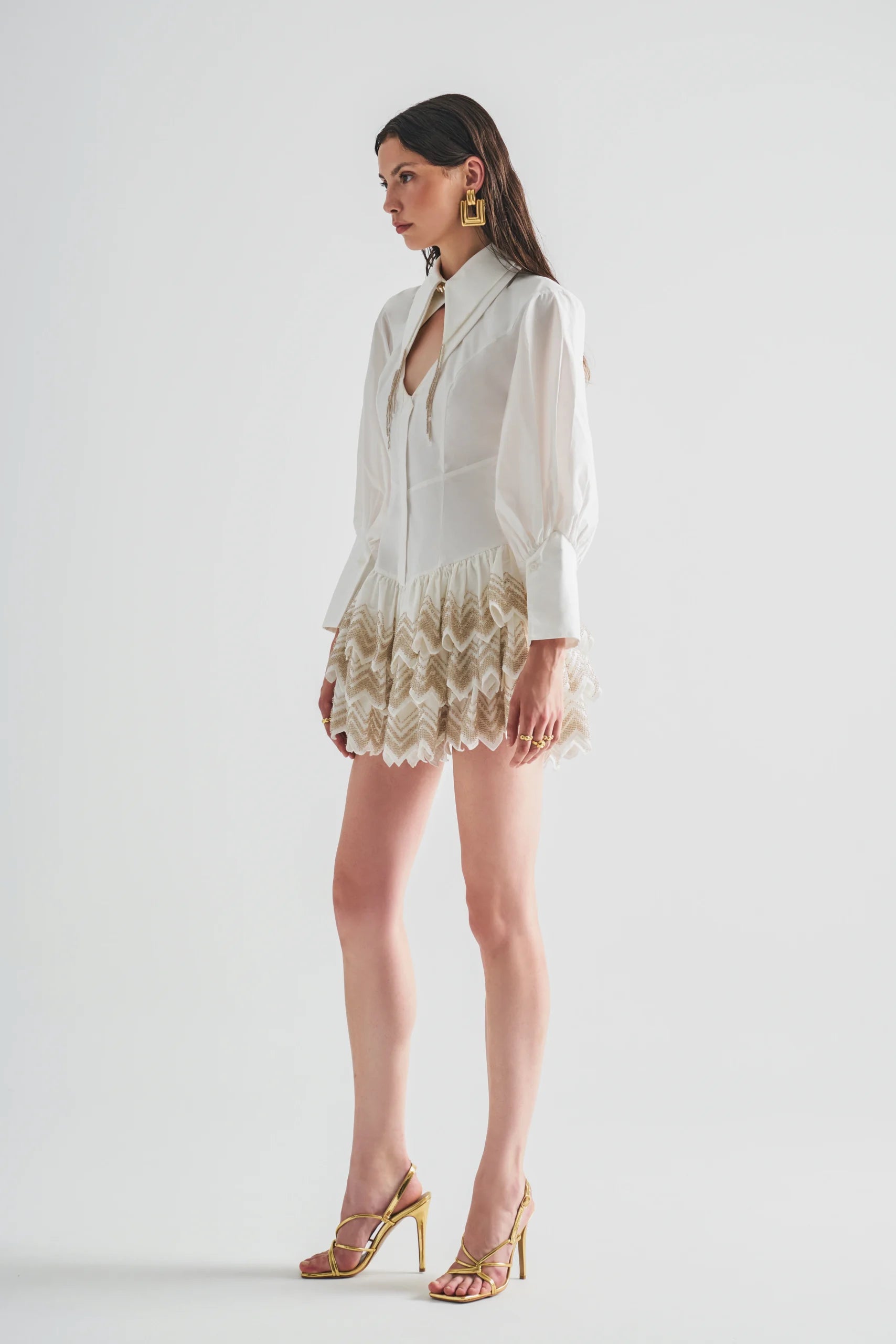 Taffeta Garnished Dress with Embroidery Detail