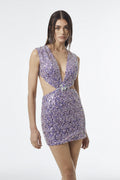 V-Neck Embroidered Detail Mini Dress